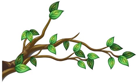 BRANCH .